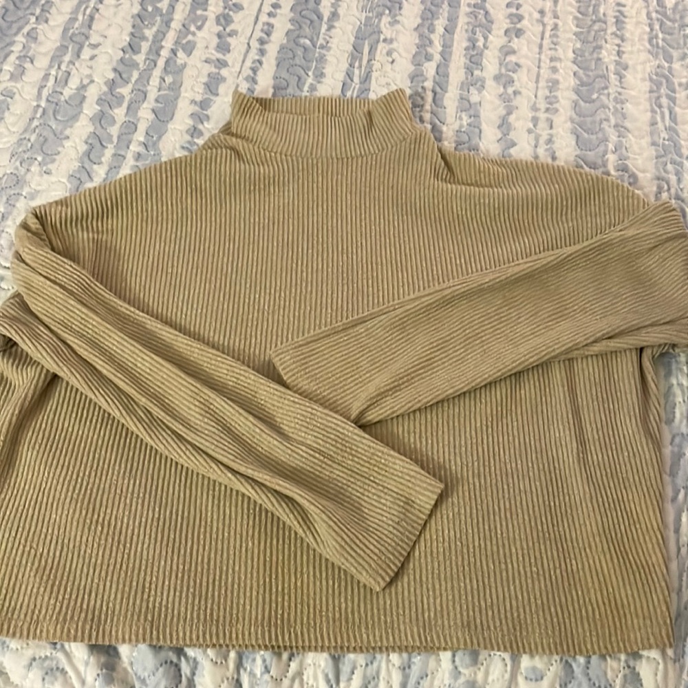 cropped turtle neck
